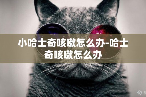 小哈士奇咳嗽怎么辦-哈士奇咳嗽怎么辦