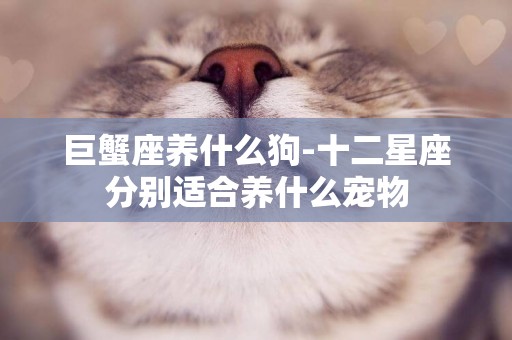 巨蟹座養什么狗-十二星座分別適合養什么寵物