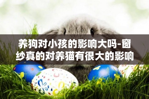養狗對小孩的影響大嗎-窗紗真的對養貓有很大的影響嗎