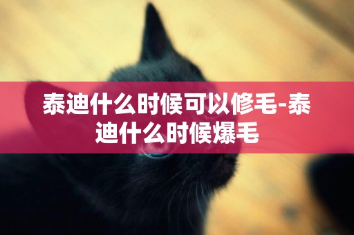 泰迪什么時候可以修毛-泰迪什么時候爆毛