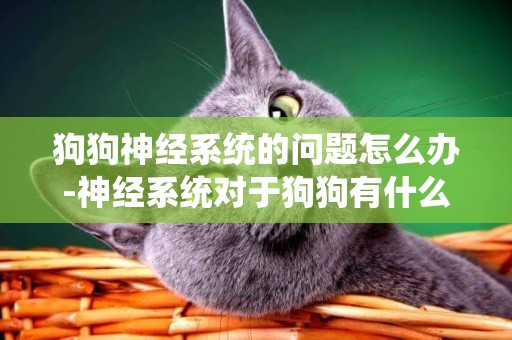 狗狗神經系統的問題怎么辦-神經系統對于狗狗有什么作用