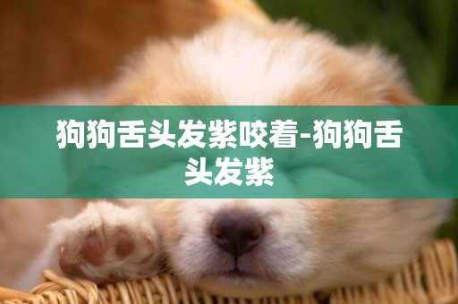 狗狗舌頭發紫咬著-狗狗舌頭發紫