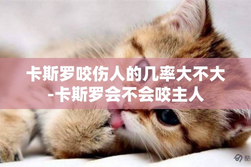 卡斯羅咬傷人的幾率大不大-卡斯羅會不會咬主人