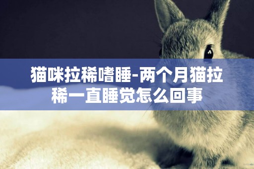 貓咪拉稀嗜睡-兩個月貓拉稀一直睡覺怎么回事