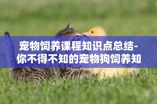 寵物飼養課程知識點總結-你不得不知的寵物狗飼養知識