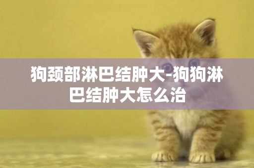 狗頸部淋巴結腫大-狗狗淋巴結腫大怎么治