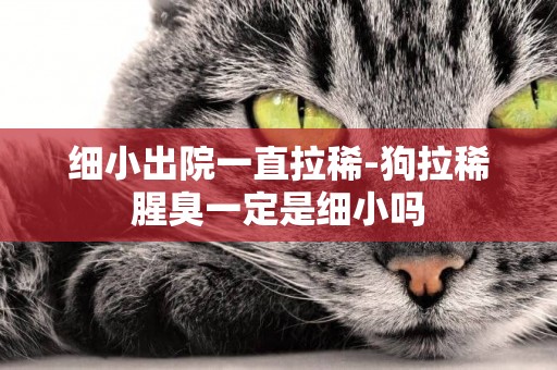 細小出院一直拉稀-狗拉稀腥臭一定是細小嗎