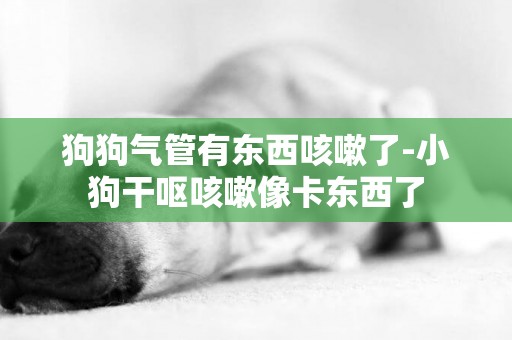 狗狗氣管有東西咳嗽了-小狗干嘔咳嗽像卡東西了