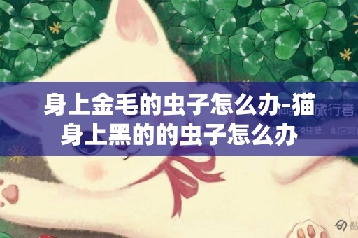 身上金毛的蟲子怎么辦-貓身上黑的的蟲子怎么辦