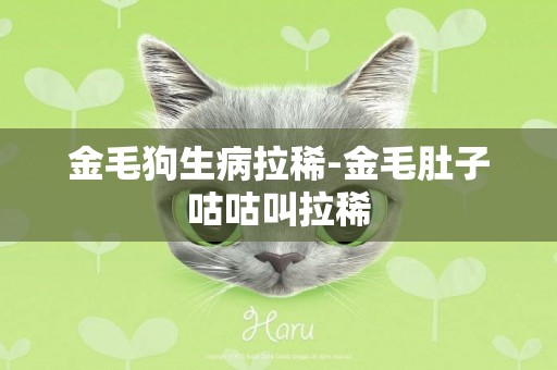 金毛狗生病拉稀-金毛肚子咕咕叫拉稀