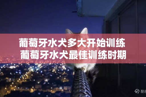 葡萄牙水犬多大開始訓練 葡萄牙水犬最佳訓練時期