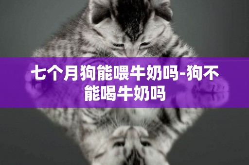 七個月狗能喂牛奶嗎-狗不能喝牛奶嗎