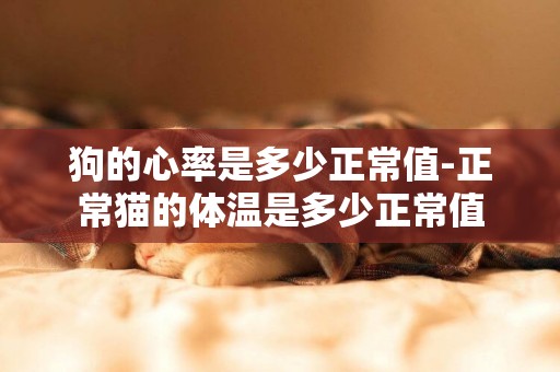 狗的心率是多少正常值-正常貓的體溫是多少正常值