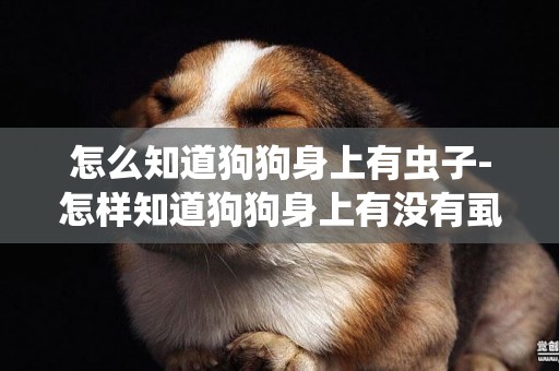怎么知道狗狗身上有蟲子-怎樣知道狗狗身上有沒有虱子