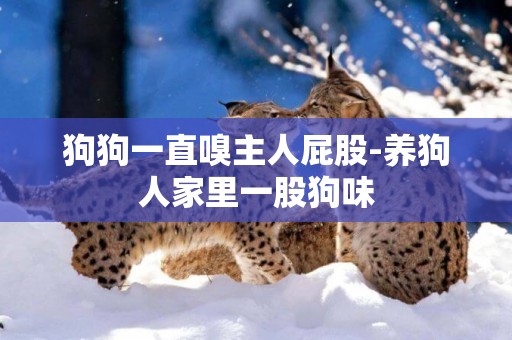 狗狗一直嗅主人屁股-養狗人家里一股狗味