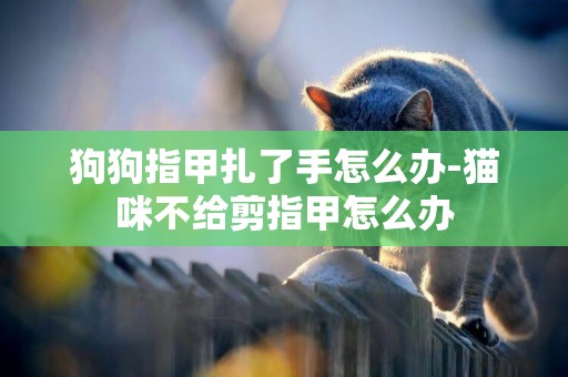 狗狗指甲扎了手怎么辦-貓咪不給剪指甲怎么辦
