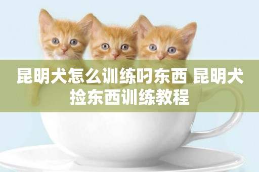 昆明犬怎么訓練叼東西 昆明犬撿東西訓練教程
