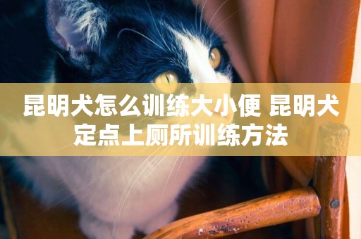 昆明犬怎么訓練大小便 昆明犬定點上廁所訓練方法
