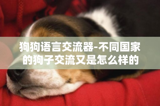 狗狗語言交流器-不同國家的狗子交流又是怎么樣的