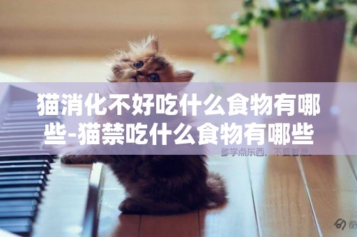 貓消化不好吃什么食物有哪些-貓禁吃什么食物有哪些