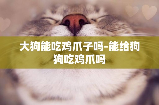 大狗能吃雞爪子嗎-能給狗狗吃雞爪嗎