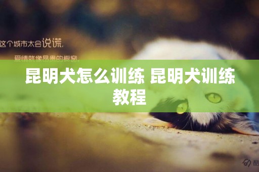 昆明犬怎么訓練 昆明犬訓練教程