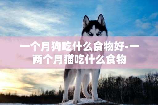 一個月狗吃什么食物好-一兩個月貓吃什么食物