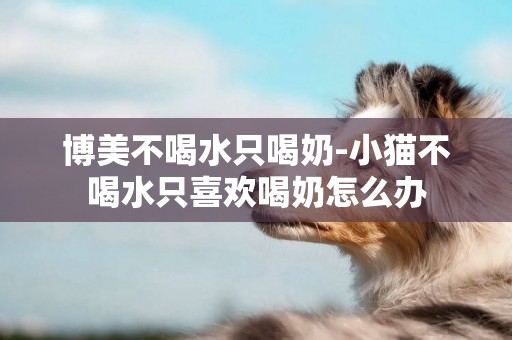 博美不喝水只喝奶-小貓不喝水只喜歡喝奶怎么辦