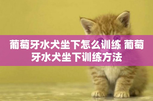 葡萄牙水犬坐下怎么訓練 葡萄牙水犬坐下訓練方法
