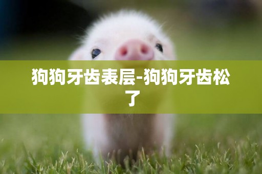 狗狗牙齒表層-狗狗牙齒松了
