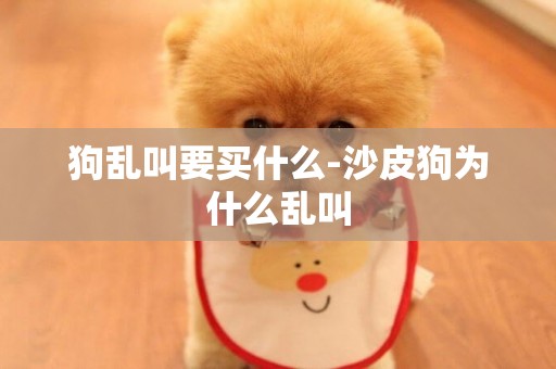 狗亂叫要買什么-沙皮狗為什么亂叫