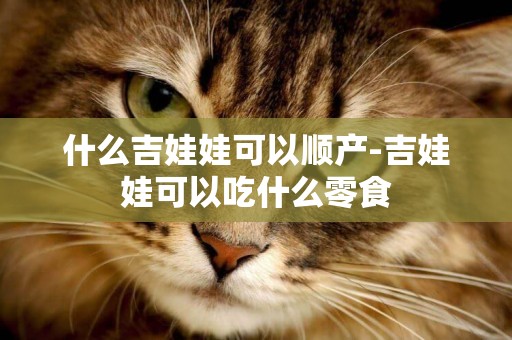 什么吉娃娃可以順產-吉娃娃可以吃什么零食