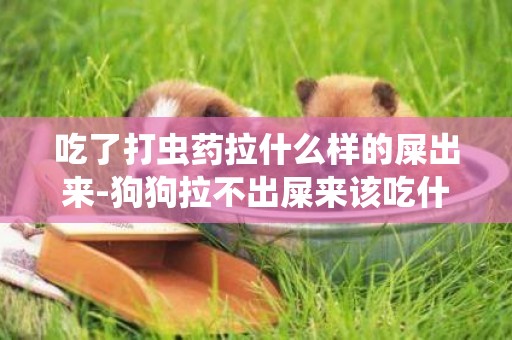 吃了打蟲藥拉什么樣的屎出來-狗狗拉不出屎來該吃什么藥