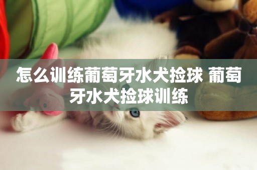 怎么訓練葡萄牙水犬撿球 葡萄牙水犬撿球訓練