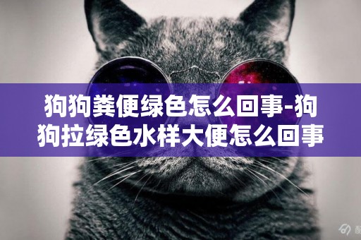 狗狗糞便綠色怎么回事-狗狗拉綠色水樣大便怎么回事