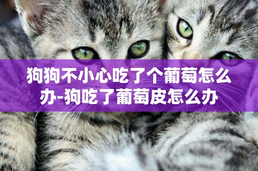 狗狗不小心吃了個葡萄怎么辦-狗吃了葡萄皮怎么辦