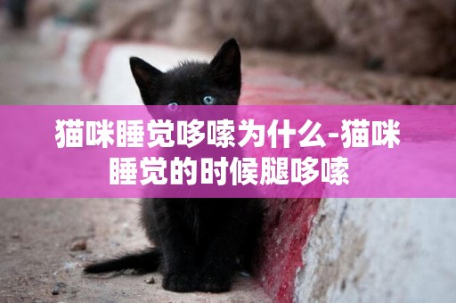貓咪睡覺哆嗦為什么-貓咪睡覺的時候腿哆嗦