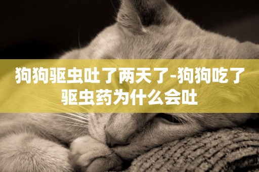 狗狗驅蟲吐了兩天了-狗狗吃了驅蟲藥為什么會吐