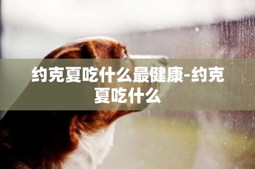 約克夏吃什么最健康-約克夏吃什么