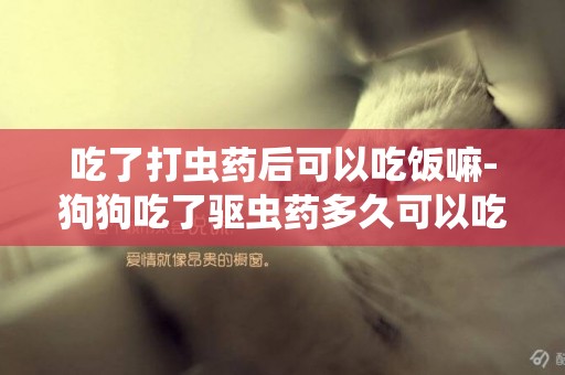 吃了打蟲藥后可以吃飯嘛-狗狗吃了驅蟲藥多久可以吃飯