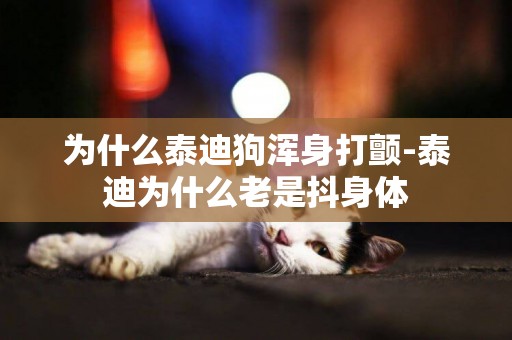 為什么泰迪狗渾身打顫-泰迪為什么老是抖身體