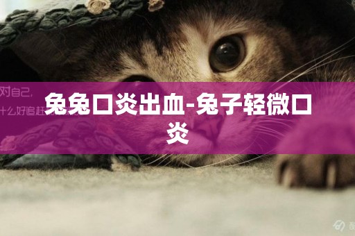 兔兔口炎出血-兔子輕微口炎