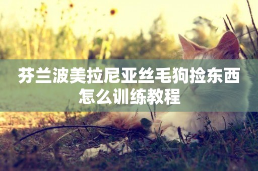 芬蘭波美拉尼亞絲毛狗撿東西怎么訓練教程