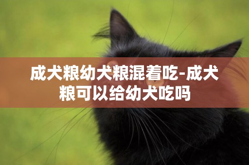 成犬糧幼犬糧混著吃-成犬糧可以給幼犬吃嗎