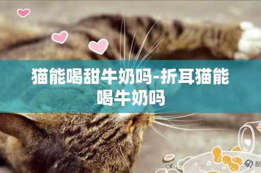 貓能喝甜牛奶嗎-折耳貓能喝牛奶嗎