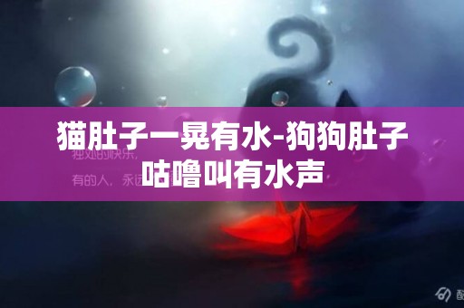 貓肚子一晃有水-狗狗肚子咕嚕叫有水聲