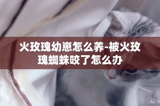 火玫瑰幼崽怎么養-被火玫瑰蜘蛛咬了怎么辦