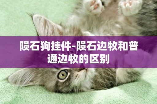 隕石狗掛件-隕石邊牧和普通邊牧的區別