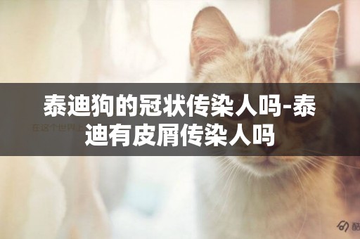 泰迪狗的冠狀傳染人嗎-泰迪有皮屑傳染人嗎