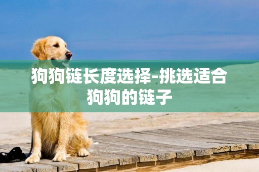 狗狗鏈長度選擇-挑選適合狗狗的鏈子